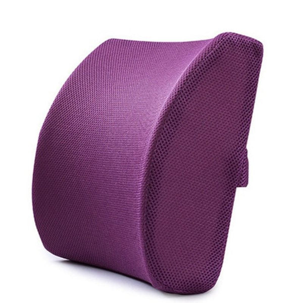 Day Care - Lumbar Support Seat Cushion